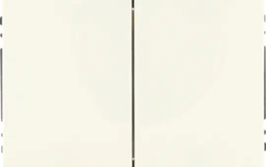 BERKER 24127039 Friends of Hue-Tastsensor K.1/K.5 2-fach | polarweiß glänzend