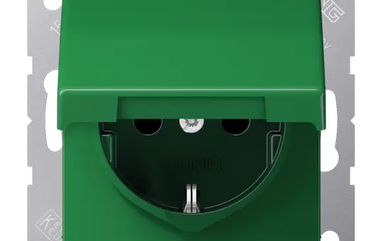 JUNG AS1521BFKLGN EDV-Steckdose AS 1-fach, Klappdeckel | grün