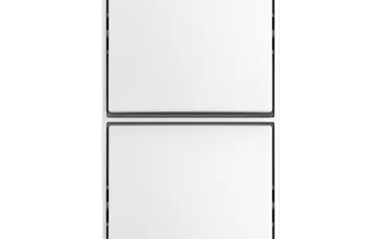 BUSCH-JAEGER 2601/6/2601/6 APJ-524 Wippschalter Balance AP 2x Wippschalter, Aus-und Wechselschaltung | alpinweiß