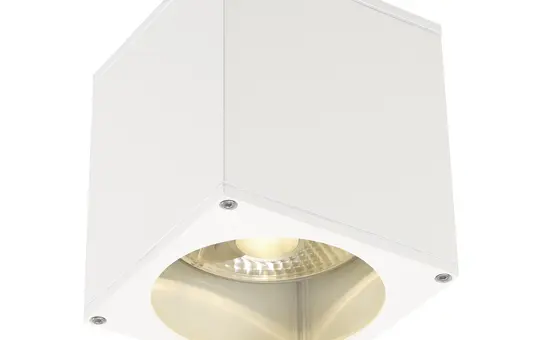 SLV 229551 Outdoor Deckenleuchte BIG THEO QPAR111, IP44, eckig, max. 75 W | weiß