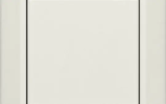 ELTAKO 30000227 Funk-2- oder 4-Kanal-Taster Finnland | elko-weiß