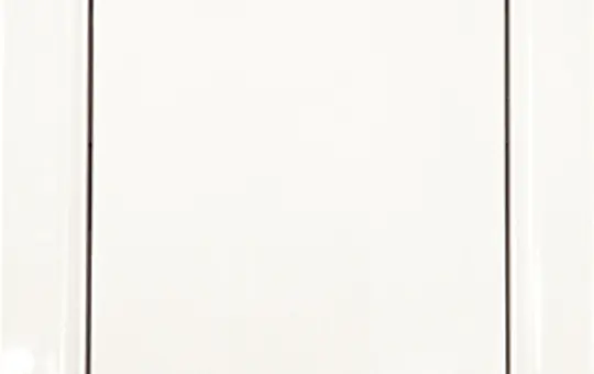 ELTAKO 30055743 Wipptaster 1 Schließer, mit Wippe | polarweiß glänzend