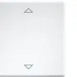 ELTAKO 30000981 Wippen lasergraviert für Taster und Schalter, Pfeile | reinweiß glänzend