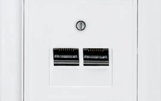 ELTAKO 30055845 Netzwerkabdeckung 2-fach | polarweiß matt