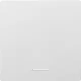 ELTAKO 30055911 Wippe im E-Design55 ungraviert, für Funktaster | polarweiß glänzend