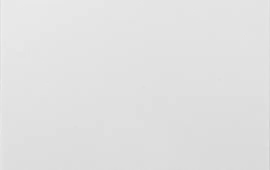 ELTAKO 30055912 Wippe im E-Design55 ungraviert, für Funktaster | polarweiß matt