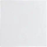 ELTAKO 30055916 Wippe im E-Design55 ungraviert, für Funktaster mit Batterie | polarweiß matt