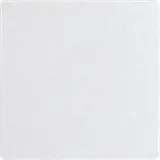 ELTAKO 30055930 Wippe im E-Design55 ungraviert | anthrazit matt