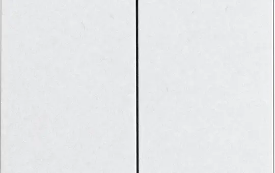 ELTAKO 30055922 Doppelwippe im E-Design55 ungraviert, für Funktaster mit Batterie | anthrazit matt