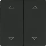 ELTAKO 30055955 Doppelwippe im E-Design55 für Funktaster, Pfeile E-Design55 | schwarz
