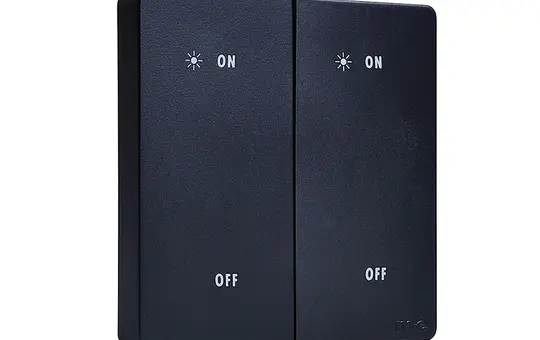 M-E 55060 Funk-Wandtaster 2-Kanal | schwarz