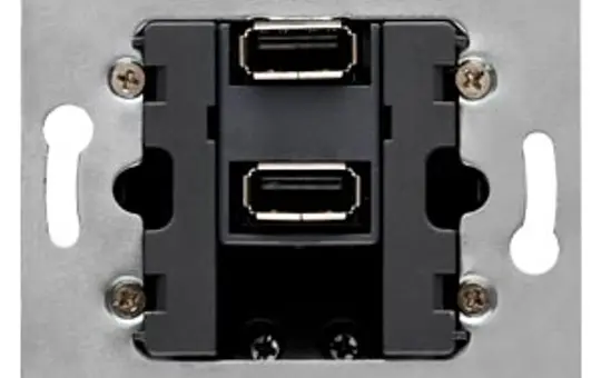 SIEMENS 5TG2025-3 duale USB-Anschlussdose Delta senkrecht