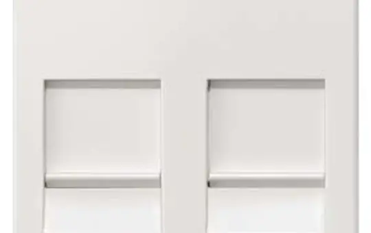 SIEMENS 5TG2056 Modular-Jack Abdeckung Delta i-system 2-fach, Schriftfeld | titanweiß