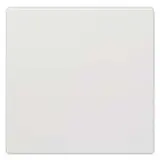 SIEMENS 5TG7141 Wippe Delta style 1-fach | titanweiß