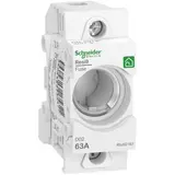 SCHNEIDER R9J02163 Sicherungssockel Neozed D02 1-polig, 63 A, DIN-Schiene