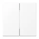JUNG MATLS995WWM Matter Taster Serie LS 2-fach/4-fach | schneeweiß matt