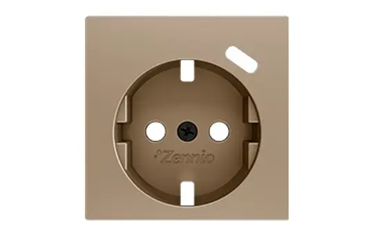 ZENNIO ZS55CSC1USC SCHUKO-Steckdosenabdeckung USB C | champagner