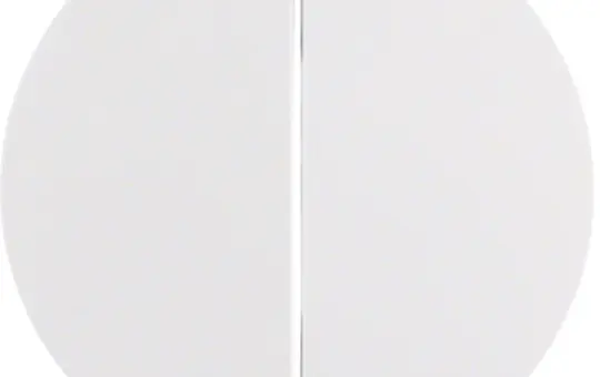 BERKER MAN0307524 Wippe Serie R 2-fach | polarweiß matt