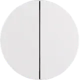 BERKER MAN0305424 Tastdimmerabdeckung R.Classic 2-fach | polarweiß matt