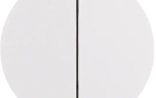 BERKER MAN0305424 Tastdimmerabdeckung R.Classic 2-fach | polarweiß matt