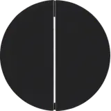 BERKER MAN0306624 Tastdimmerabdeckung R.Classic 2-fach | schwarz matt