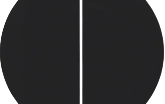 BERKER MAN0306624 Tastdimmerabdeckung R.Classic 2-fach | schwarz matt