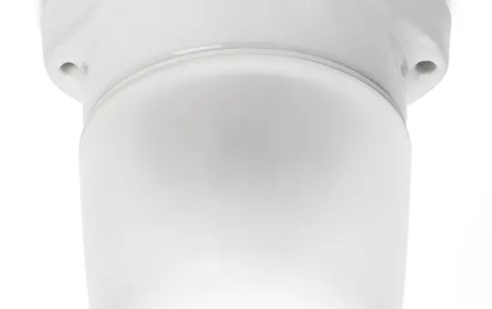 THPG 100753 Deckenleuchte Kuppel LISILUX M, matt | weiß