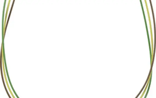 GIRA 830900 Leitungssatz 3-adrig