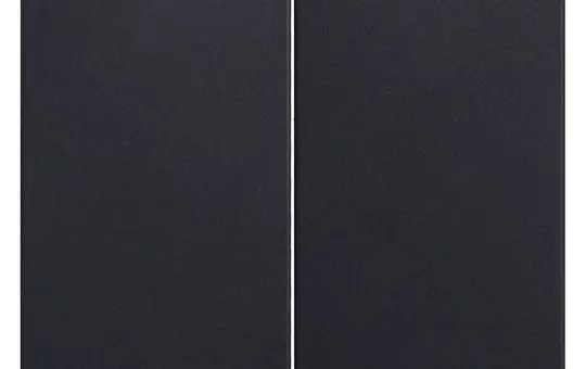 LINGG&JANKE 87815-SW Wippe für Tastsensor 2-fach | schwarz