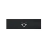 DOORBIRD Cov-S-L Lichttasterblende (423871045) für rechteckigen Lichttaster | anthrazitgrau seidenmatt