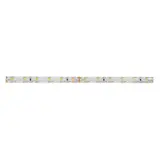 BRUMBERG 15221005 LED-Flexplatine Q-FLEX Select IP60, 4,8 W/m, 6000K | 5 m