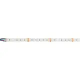 BRUMBERG 38205002 RGBW LED-Flexplatine Q-FLEX ONE IP00, 26 W/m, 3000K | 5 m