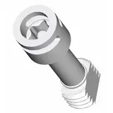 SPELSBERG TK DS-ku/g/T40 Deckelschraube T40 | lichtgrau | 34 mm