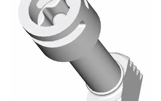 SPELSBERG TK DS-ku/g/T40 Deckelschraube T40 | lichtgrau | 34 mm