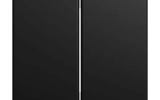 BUSCH-JAEGER 6736 FoH-915 FoH-Wippe Balance SI 2-fach | schwarz matt