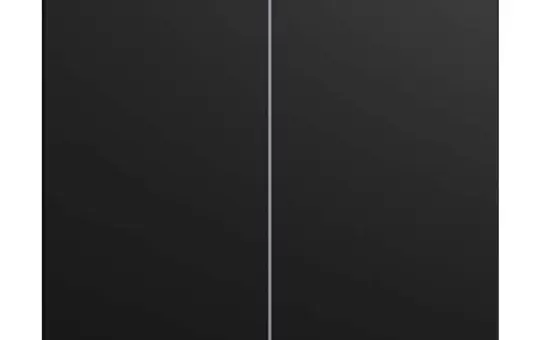 BUSCH-JAEGER LFW/A.2.55.11-915 Wippe für Keypad balance SI 2-fach | schwarz matt