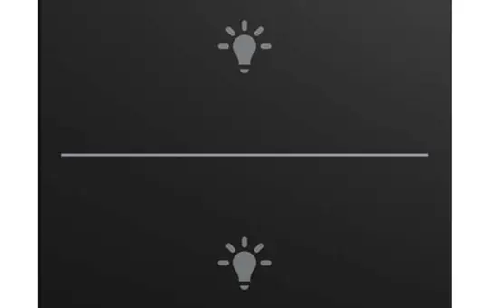 BUSCH-JAEGER LFBT/A.2.55.11-915 Taste für Keypad balance SI 2-fach, Licht | schwarz matt