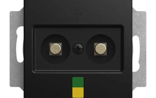 BUSCH-JAEGER 2095 UC-915 Potentialausgl.-Steckdose Balance 2-fach | schwarz matt