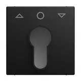 BUSCH-JAEGER 2557 PZ-915-101 Schlüsselschalter Balance Pfeile | schwarz matt