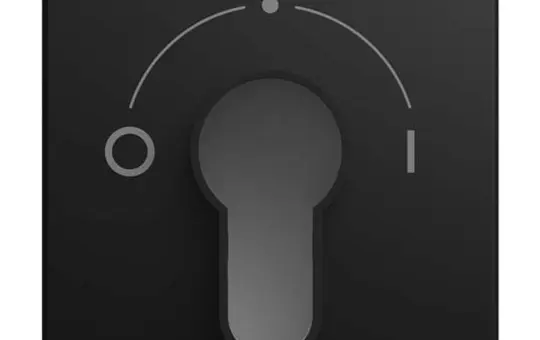 BUSCH-JAEGER 2557 SLPZ-915-101 Schlüsselschalter Balance IO | schwarz matt