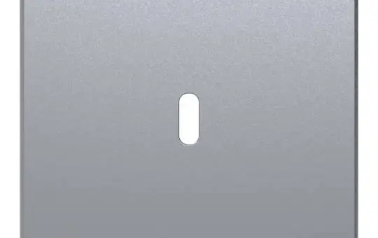 BUSCH-JAEGER 6479-83 Zentralscheibe Ladestation Future 1-fach, USB-C | alusilber