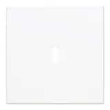 BUSCH-JAEGER 6479-914 Zentralscheibe Ladestation Balance SI 1-fach, USB-C | alpinweiß