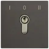 TCS AMI10700-0057 Schlüsselschaltermodul AMI Standard | schwarz eloxiert