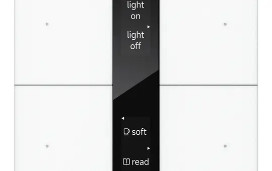 GVS CHPBD-04/24.2.10 KNX-Tastsensor S-Serie 2-fach, Display Spiegelglas | weiß