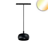 ISOLED 117234 DALI-Hängeleuchte Circle für Track48 NV 1800-4000 K | schwarz
