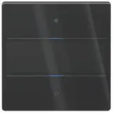 THEBEN LUXORliving iON2 G BK Glas-Tastsensor LUXORliving iON 2-fach | schwarz