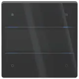 THEBEN LUXORliving iON4 G BK Glas-Tastsensor LUXORliving iON 4-fach | schwarz