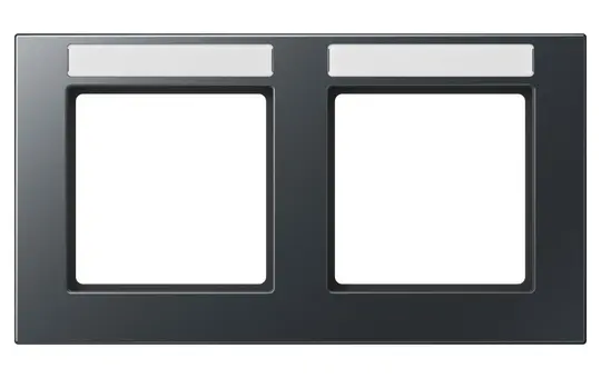 JUNG A55820BFNAANM beschr. Abdeckrahmen A 550 2-fach, waagerecht | anthrazit matt