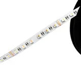 BARTHELME 51542433 LED-Strip BASIC RGBW 96 W, RGB+typ. 3000 K | 5 m