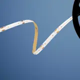 BARTHELME 51542840 LED-Strip BASIC CSP 480 14,4 W/m, typ. 4000 K | 5 m